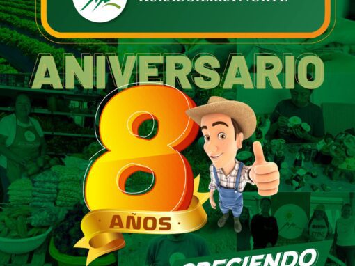 Aniversario 8
