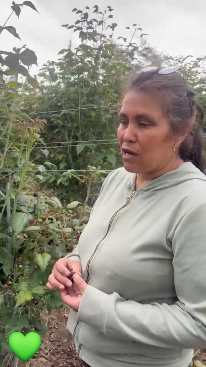 Coac Rural Sierra Norte