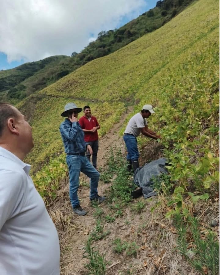 Coac Rural Sierra Norte